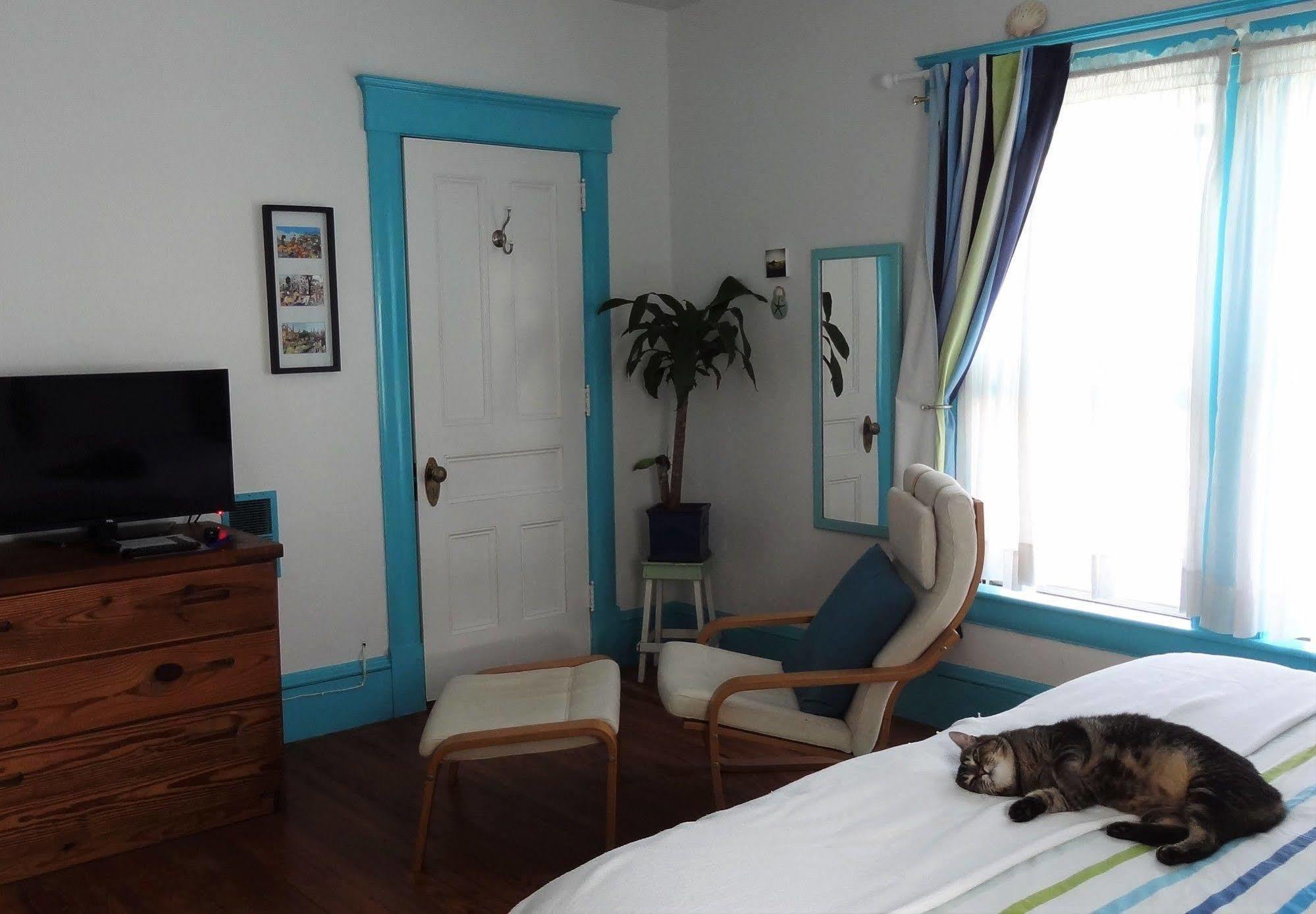 Bed and Breakfast The One Cat Brattleboro Zewnętrze zdjęcie