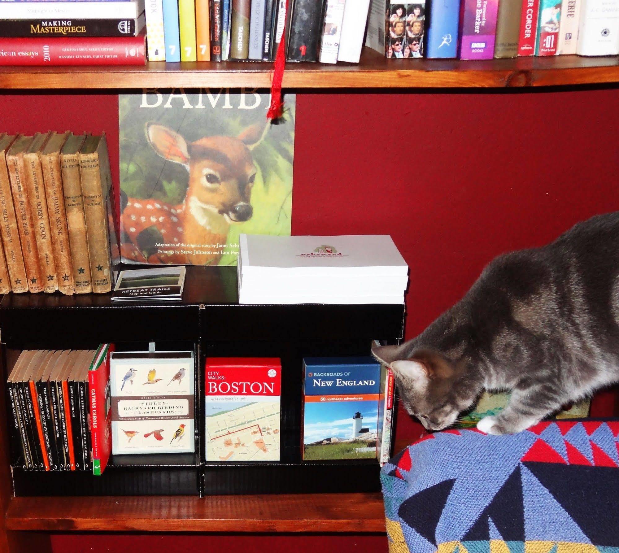 Bed and Breakfast The One Cat Brattleboro Zewnętrze zdjęcie